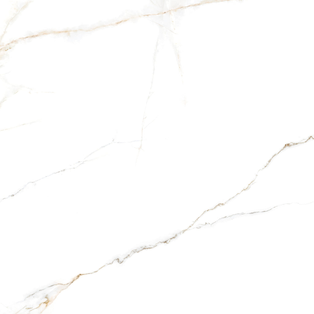 Lance White Polished Marble 120X120