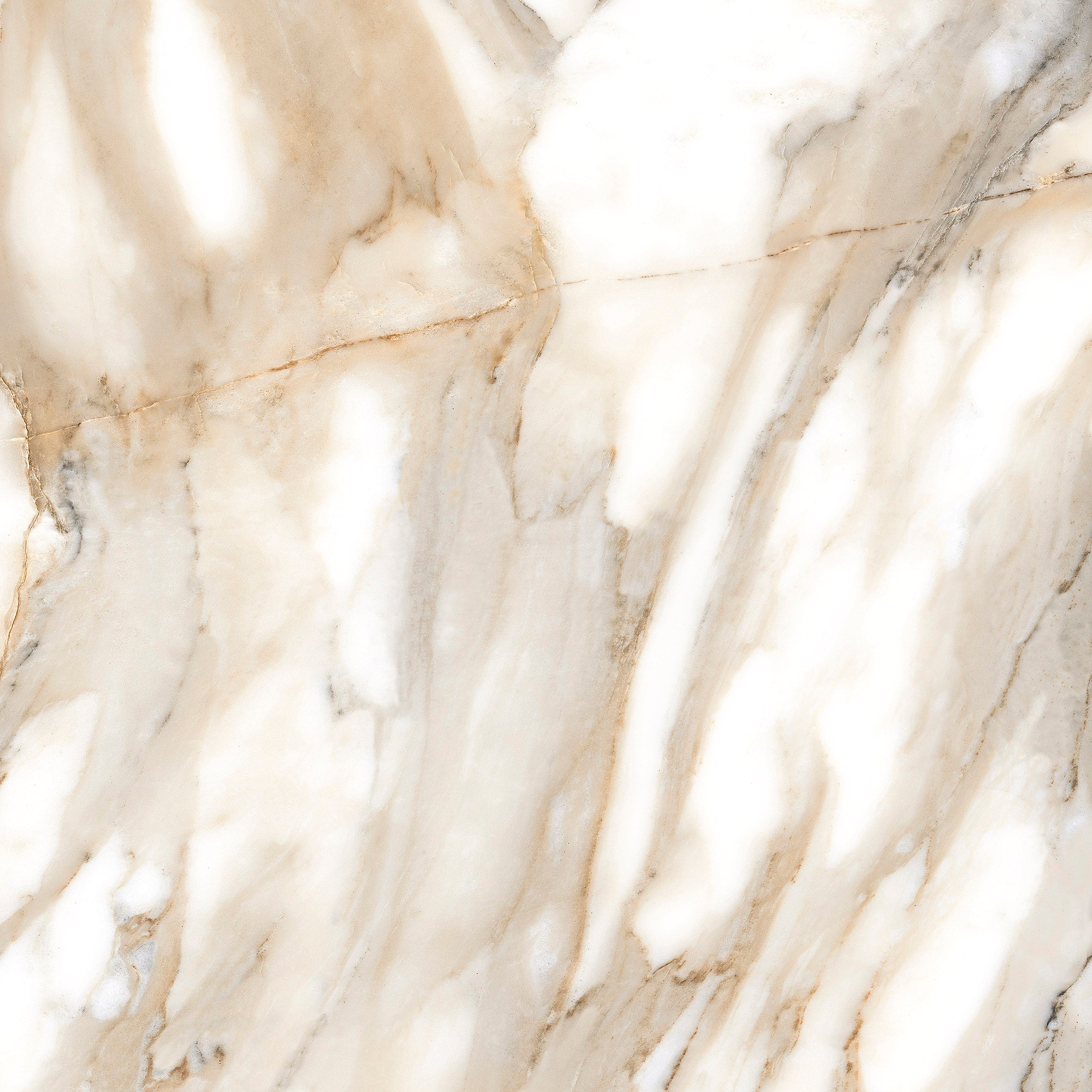 Calacatta Blanco 1 White Polished Marble 120x120