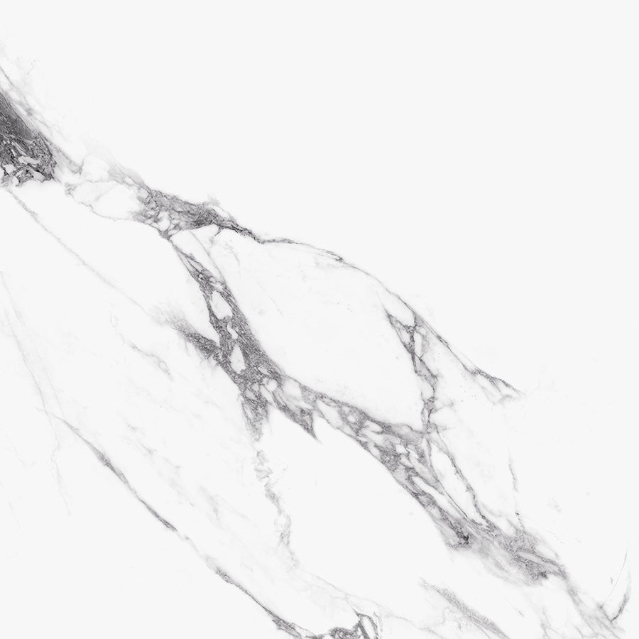 Royal White Polished Marble 120x120