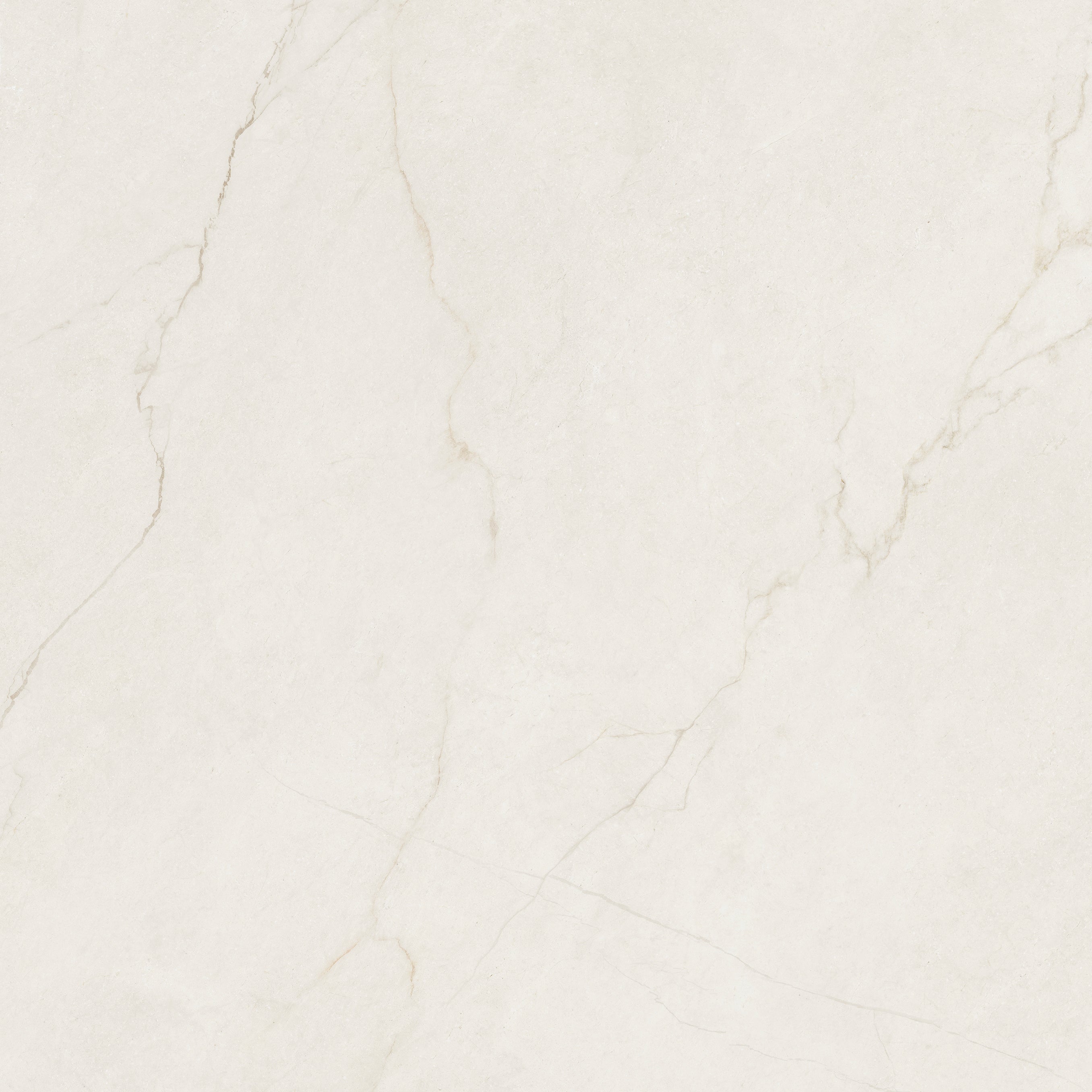 Discover Crema Polished Marble 120x120