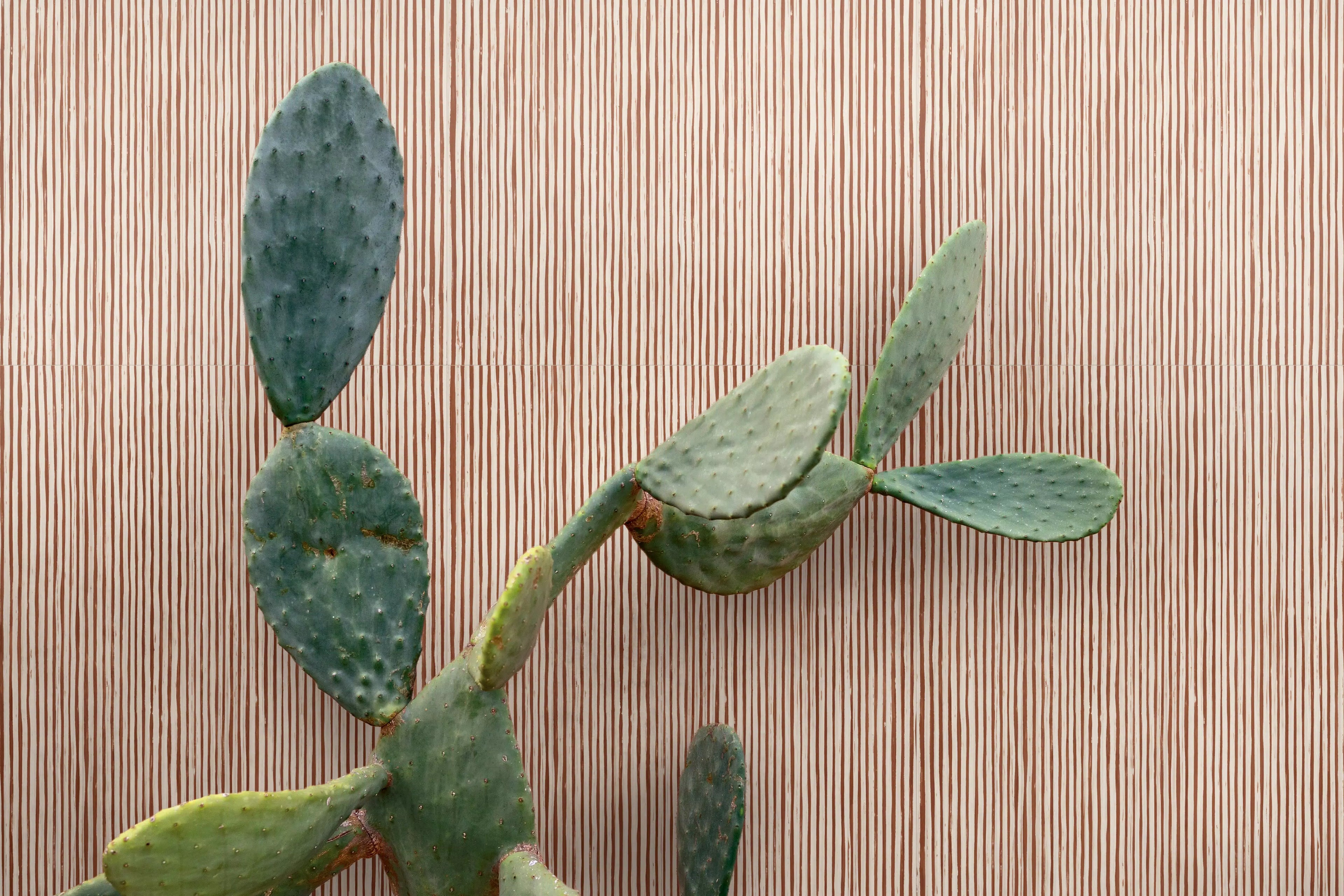 SENSI TERRE,MATTONE,Cannettato ,Concrete 60x120|9mm