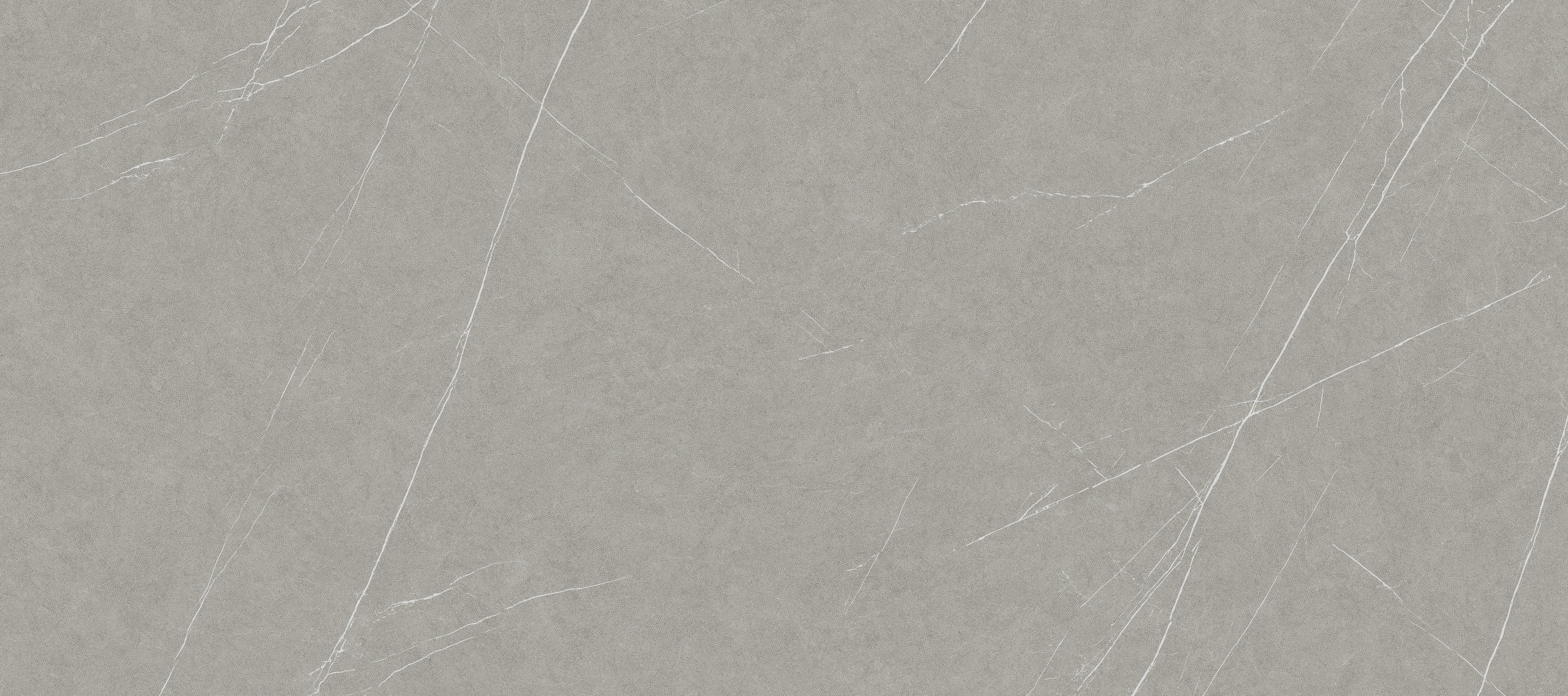 Allure Soft Grey Textured Stone 119.8x269.8