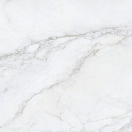 Bellini Salvia Polished Marble 120x120