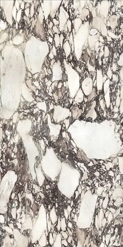 Bookmatch Calacatta Viola Honed Marble 160x320