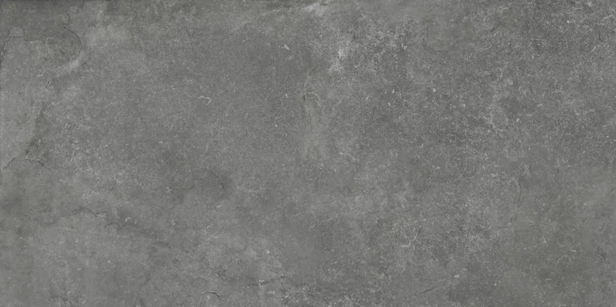 Cassian Coal Matt Stone 59.5x119.2