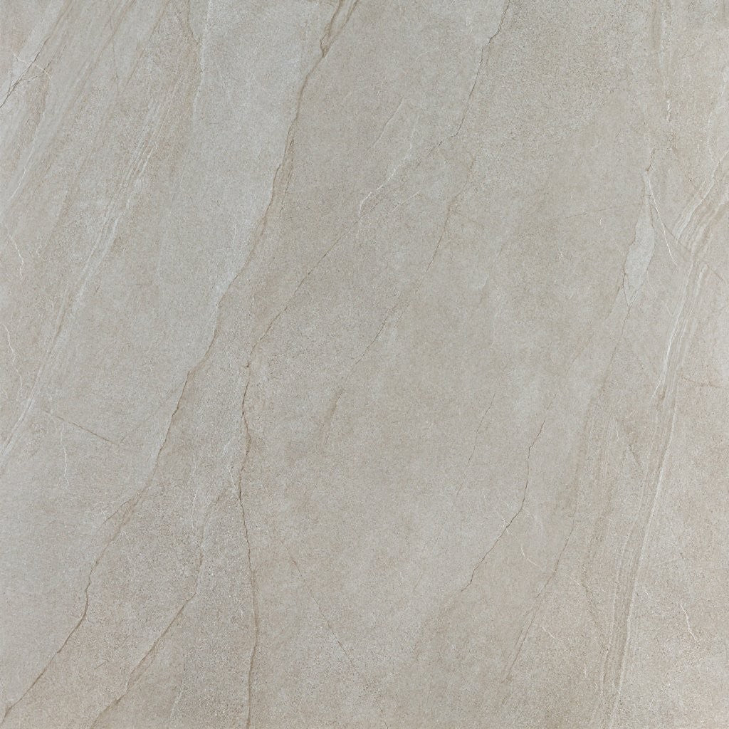 Halley Mud Matt Marble 120x120