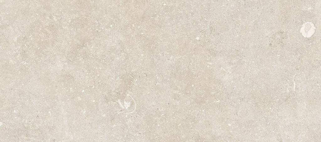 Oda Honed Light Textured Stone 119.8x269.8