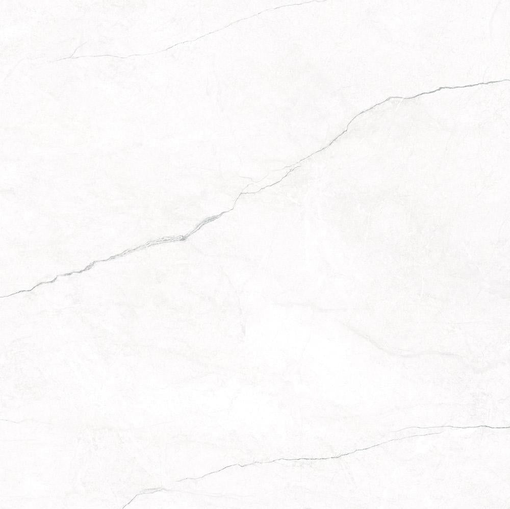 Omnia White Polished Marble 120x120