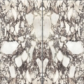 Bookmatch Calacatta Viola Honed Marble 160x320