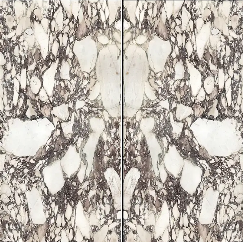 Bookmatch Calacatta Viola Honed Marble 160x320