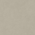 Argenta LEVEL,BEIGE,Matt,CONCRETE 120x120|9mm